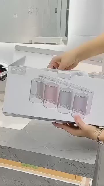 Wall Mounted Toothbrush Holder
